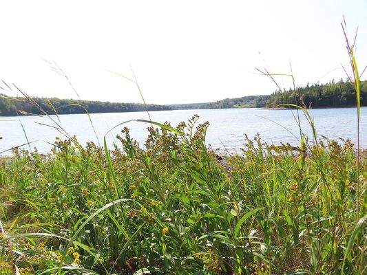 Cape Breton - Cleveland - Wunderschönes See-Ufer-G