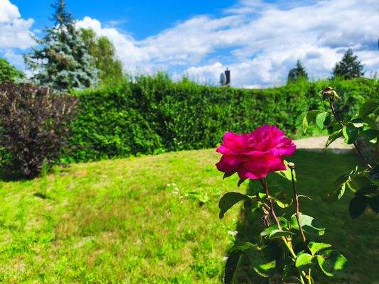 herrliches Grundstück