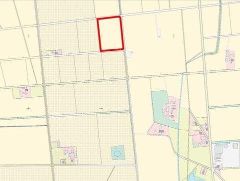 Neuenkirchen / Blockwinkel Bauernhöfe, Landwirtschaft, Neuenkirchen / Blockwinkel Forstwirtschaft