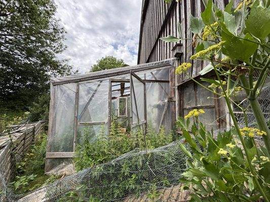 Gewächshaus
