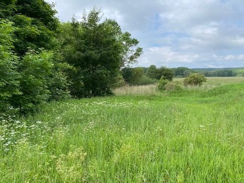 Neustrelitz Bauernhöfe, Landwirtschaft, Neustrelitz Forstwirtschaft