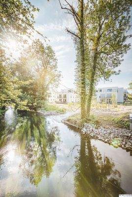 Traumhafter Blick von der Würm