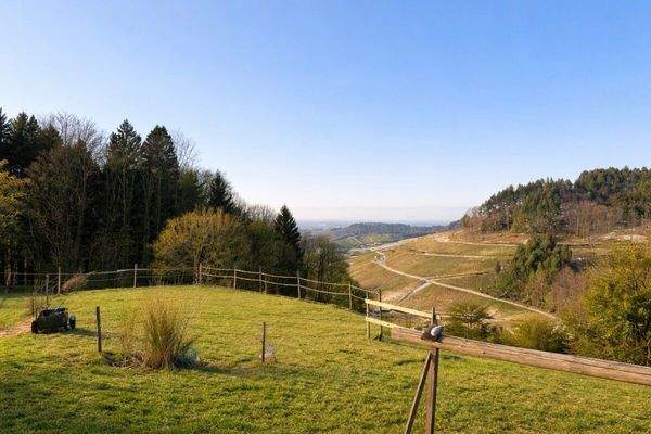 Einrichtungen für Pferde benutzbar