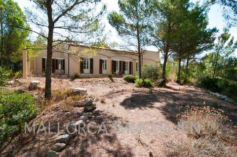 Artá Häuser, Artá Haus kaufen