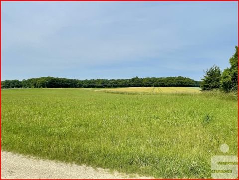 Amerdingen Bauernhöfe, Landwirtschaft, Amerdingen Forstwirtschaft