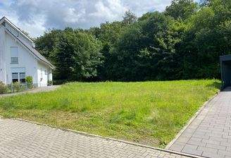 6da3b560-c2aa-4d07-b380-84c4c161d65f