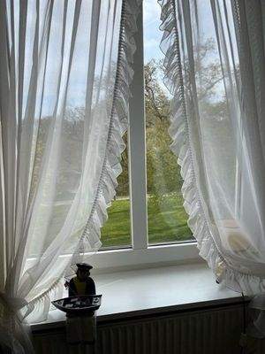 Blick aus rechtem Fenster.jpg