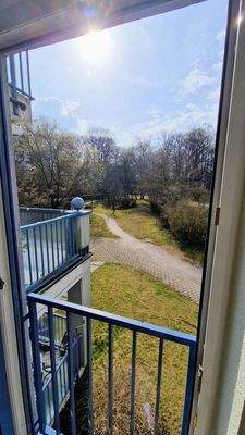 Blick in den Hofgarten 1