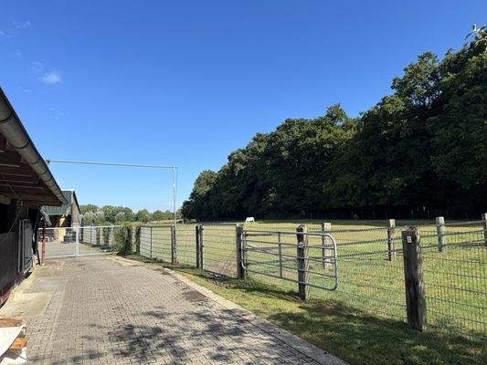 Zufahrt Hofstelle mit Metallgattern