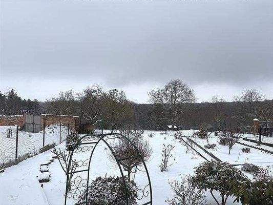 Garten und hinterer Ausgang