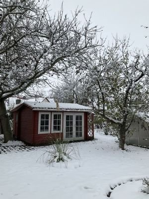 IMG_0188