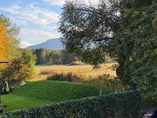 Aussicht von Terrasse.jpg