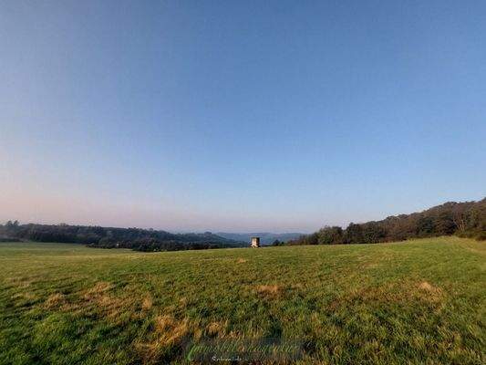 ländliche Idylle rund um Meckenbach