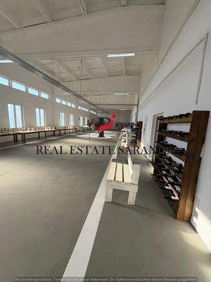 WhatsApp Image 2025-08-27 at 18.00.41 (2).jpeg