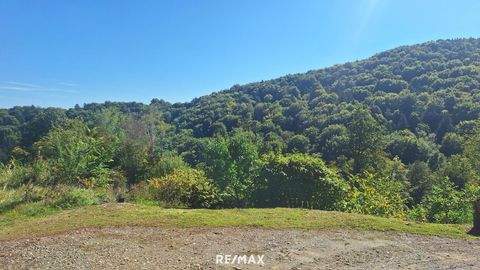 Gamlitz Grundstücke, Gamlitz Grundstück kaufen