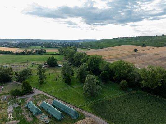 weitere Weideflächen