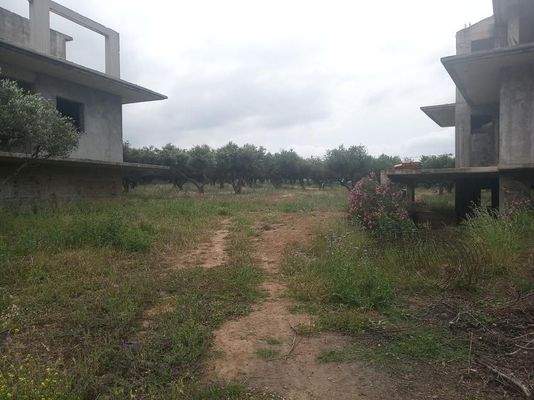 Kreta, Trachilos: Investitionsprojekt - 3 Rohbau-Villen zu verkaufen