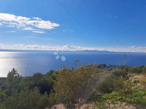 Podgora Bauernhöfe, Landwirtschaft, Podgora Forstwirtschaft