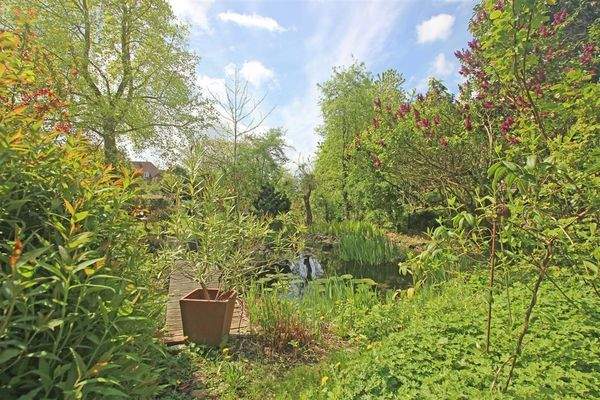 Blick in den Garten - Bild 1