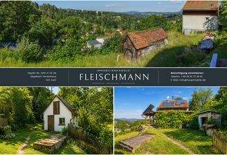 Ausblick und Nebengelass