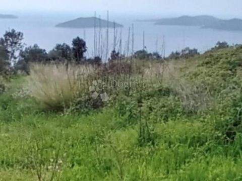 Dubrovnik Bauernhöfe, Landwirtschaft, Dubrovnik Forstwirtschaft