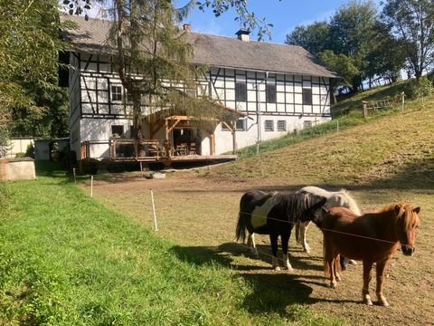 Berga/Elster Häuser, Berga/Elster Haus kaufen