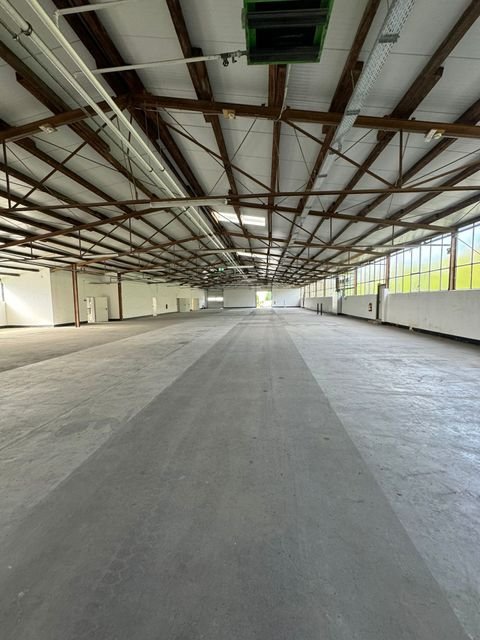 Detmold / Spork-Eichholz Halle, Detmold / Spork-Eichholz Hallenfläche
