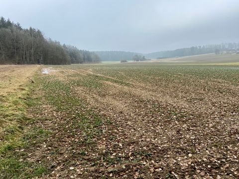 Beilngries / Wolfsbuch Bauernhöfe, Landwirtschaft, Beilngries / Wolfsbuch Forstwirtschaft