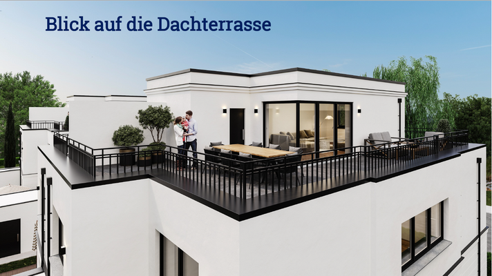 Blick auf die Dachterrasse.png