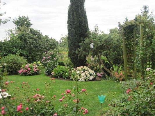 Garten.JPG