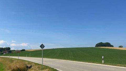 Palling Bauernhöfe, Landwirtschaft, Palling Forstwirtschaft