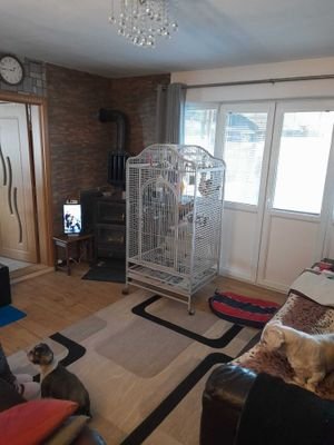 Bild 22