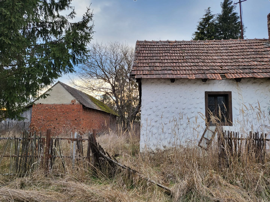 Képernyőkép 2024-12-16 102327.png