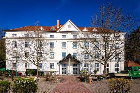 Heidenau Halle, Heidenau Hallenfläche