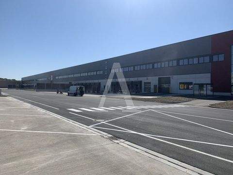 Langenfeld Halle, Langenfeld Hallenfläche