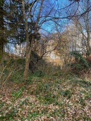 Grundstück zur Vogelstange