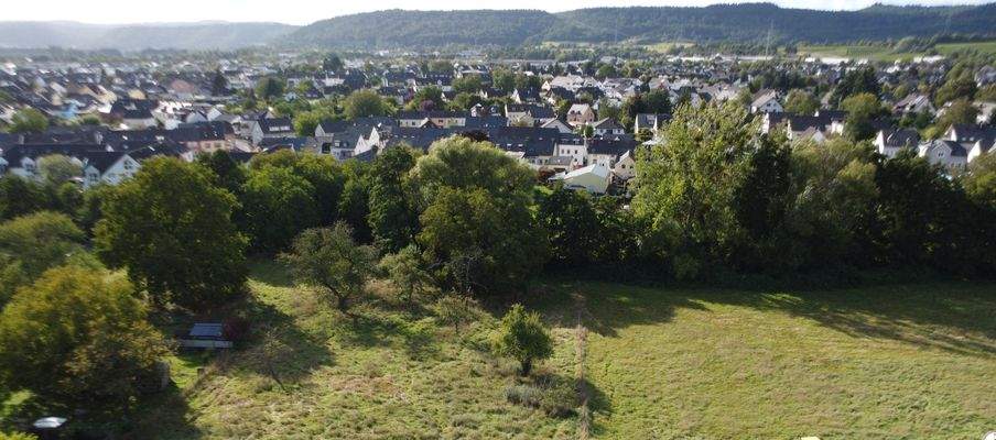 Blick über Schweich