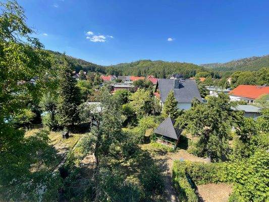 Blick in den Garten