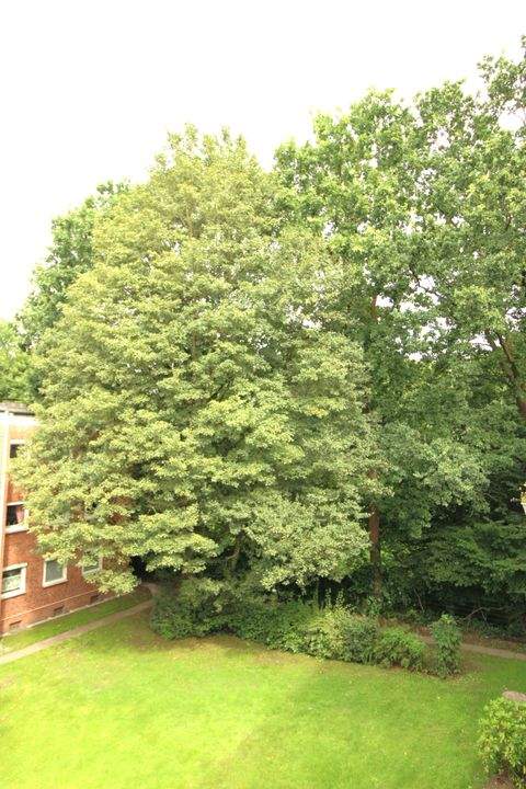 Hamburg Wohnungen, Hamburg Wohnung kaufen