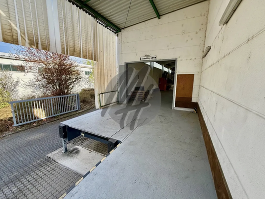 INFOS UNTER: 06171-586000