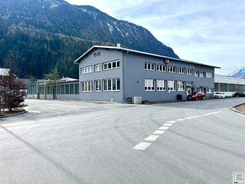 Imst Halle, Imst Hallenfläche