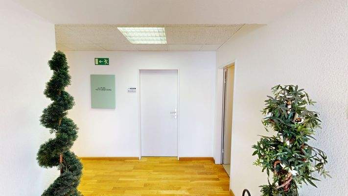 Eingangsbereich mit Pflanzen