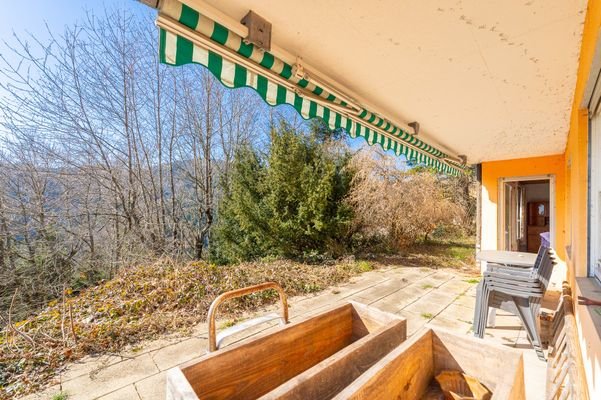 Blick in den Garten