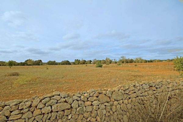 Günstiges Finca-Grundstück Nähe Es Trenc in Campos