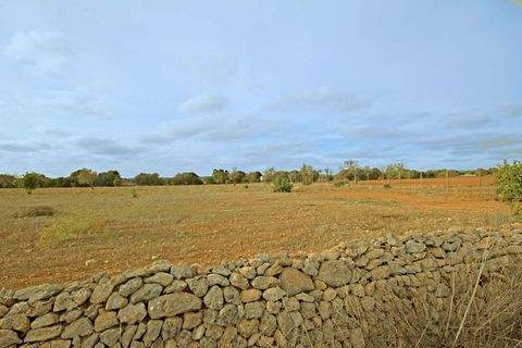 Campos Grundstücke, Campos Grundstück kaufen