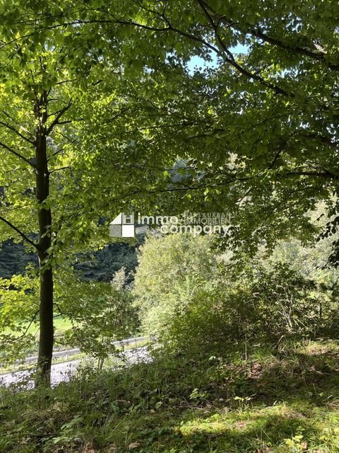 Breitenstein Grundstücke, Breitenstein Grundstück kaufen