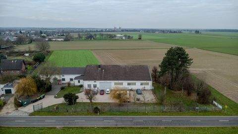 Wegberg Halle, Wegberg Hallenfläche