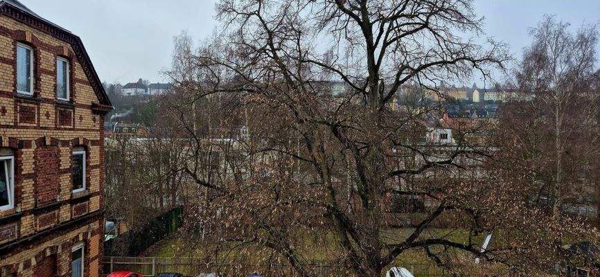 Aussicht vom Wohnzimmer