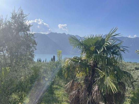 IMG_9644 - 1K JPEG.jpg