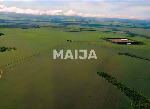 Água Boa Bauernhöfe, Landwirtschaft, Água Boa Forstwirtschaft